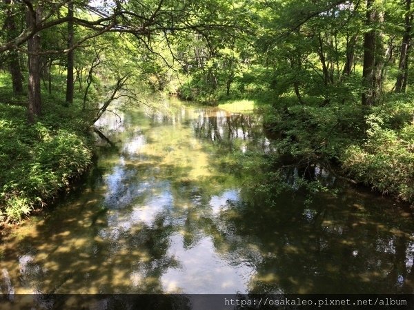 14關東D6.1 日光 二荒山神社中宮 湯元溫泉 奧日光濕原