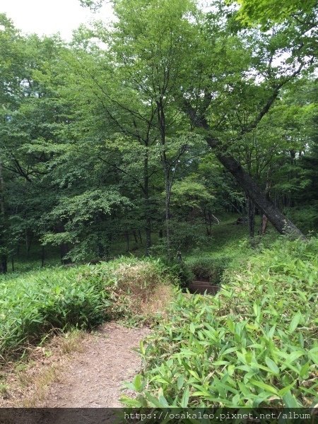 14關東D6.1 日光 二荒山神社中宮 湯元溫泉 奧日光濕原