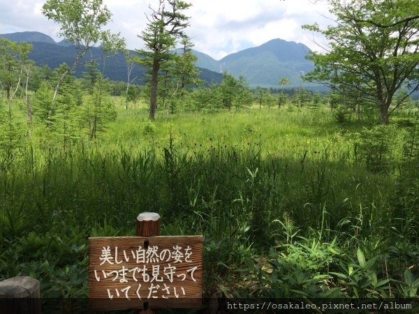 14關東D6.1 日光 二荒山神社中宮 湯元溫泉 奧日光濕原