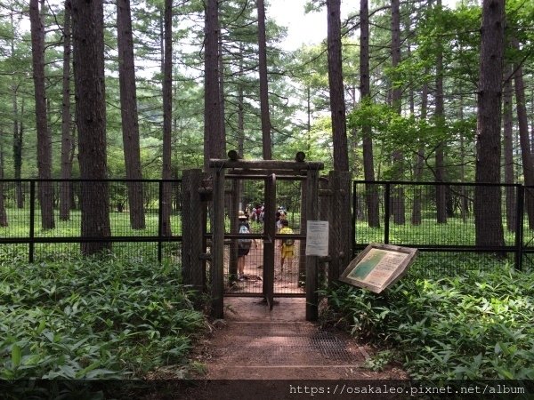 14關東D6.1 日光 二荒山神社中宮 湯元溫泉 奧日光濕原