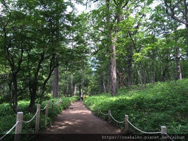 14關東D6.1 日光 二荒山神社中宮 湯元溫泉 奧日光濕原