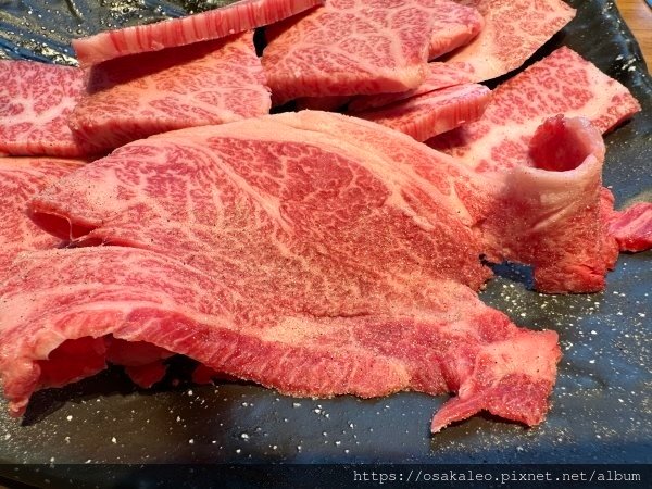 2023冬關西D9.5 力丸燒肉 和牛吃到飽 難波道頓堀店