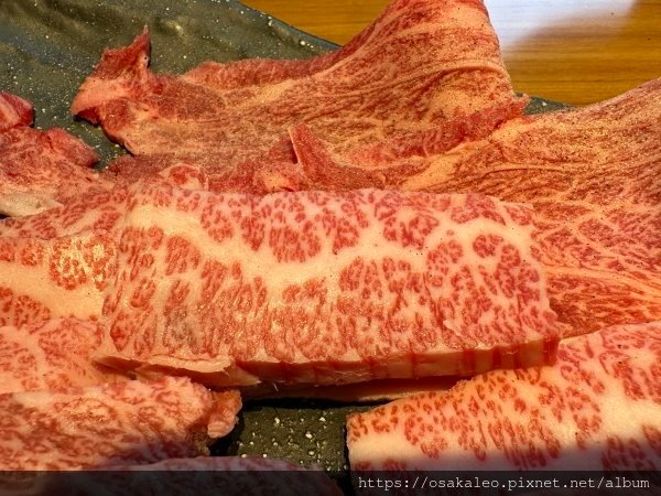 2023冬關西D9.5 力丸燒肉 和牛吃到飽 難波道頓堀店