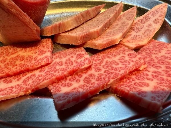 2023冬關西D9.5 力丸燒肉 和牛吃到飽 難波道頓堀店