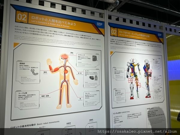 23日本D16.5 鋼彈 橫濱