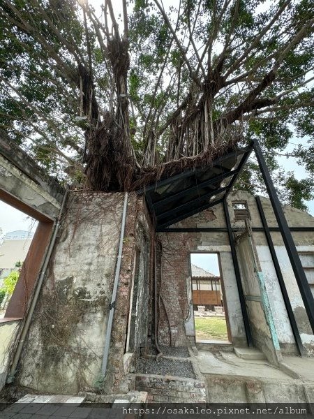 屏東 勝利星村創意生活園區