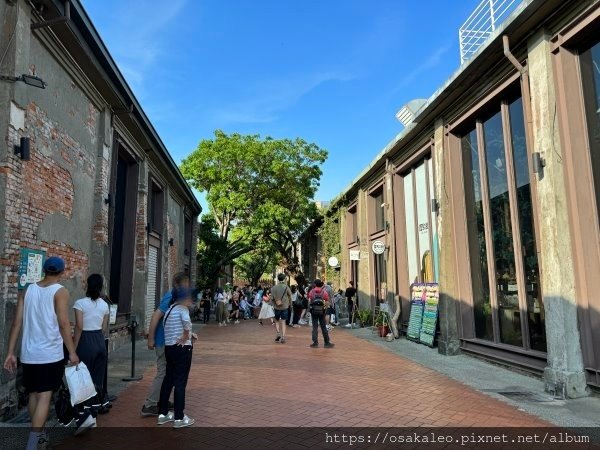 大港開唱 青春夢舞台