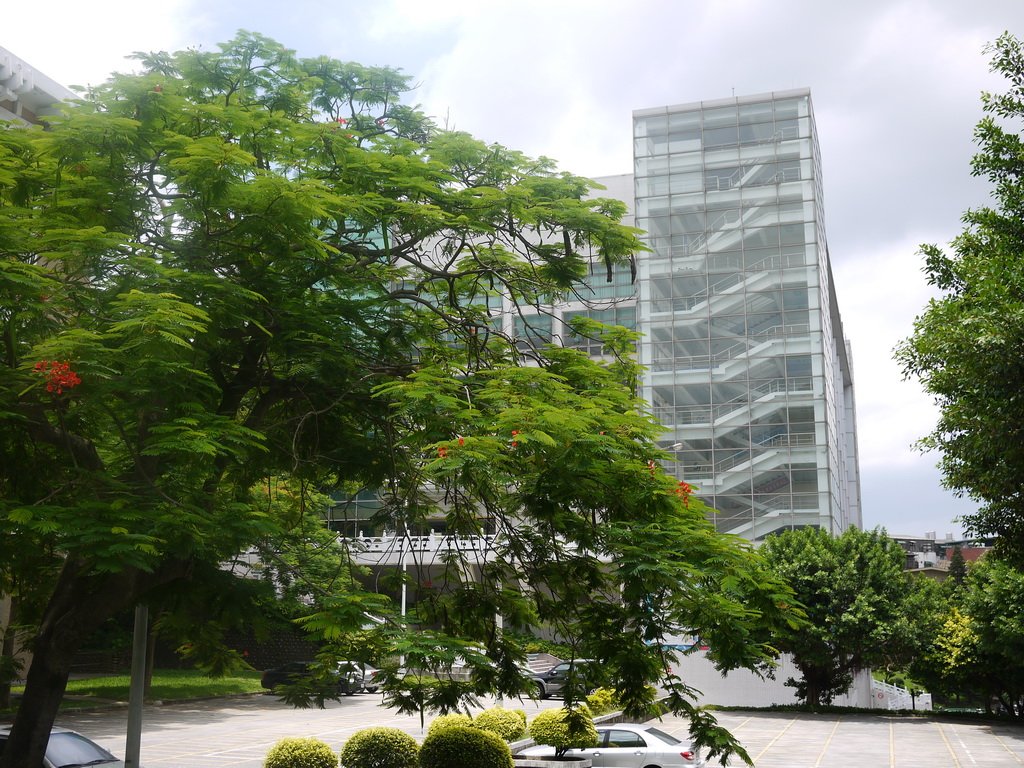 P1110508_調整大小.JPG