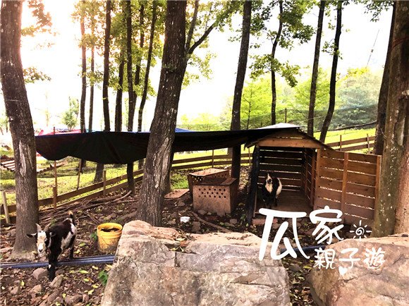 S__5136433.jpg