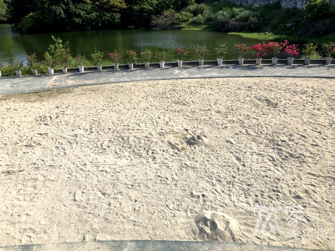 S__14598181.jpg
