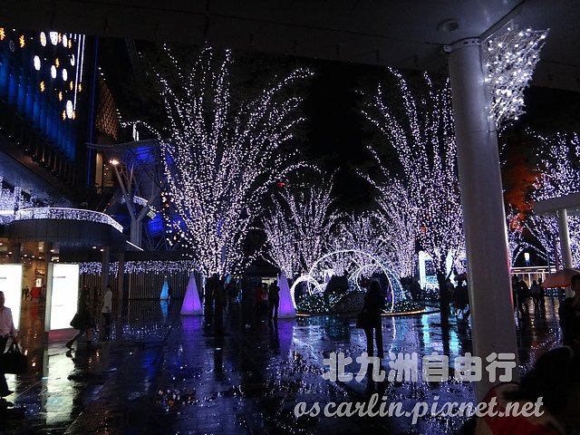 DSC09606.jpg