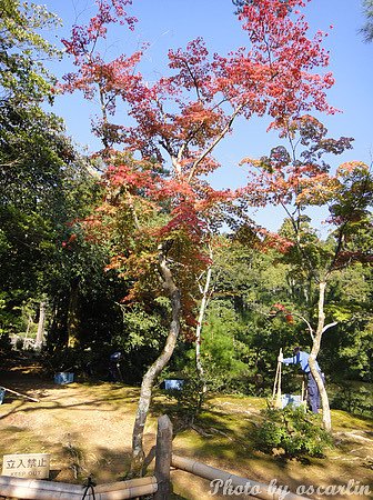 DSC04201.jpg
