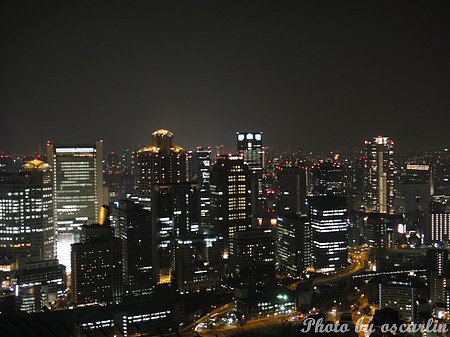 DSC08095.jpg