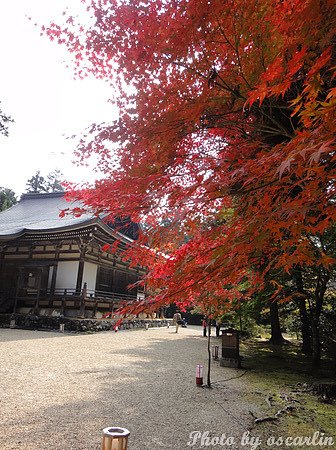 DSC05748.jpg