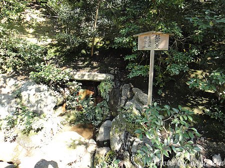 DSC04155.jpg