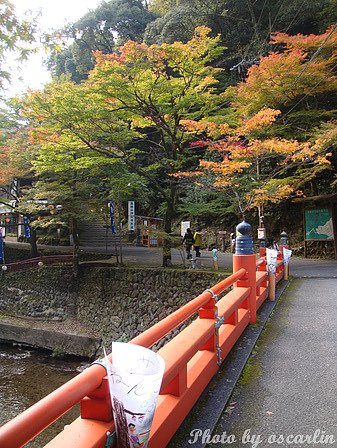 DSC03807.jpg