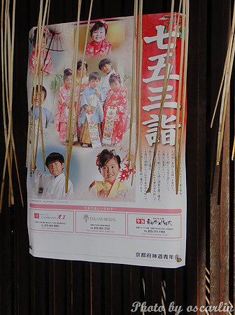 DSC04351.jpg