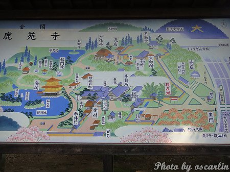 DSC03980.jpg