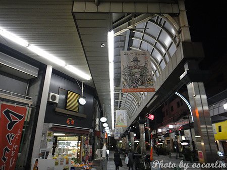 DSC07728.jpg