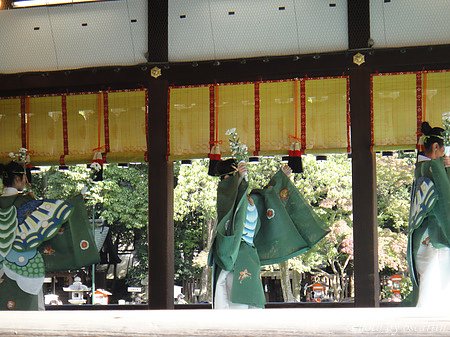 DSC01696.jpg