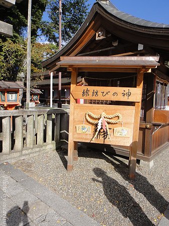 DSC01713.jpg