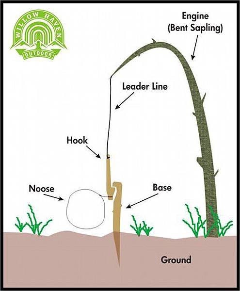 snare-diagram-1