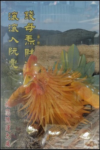 179.jpg