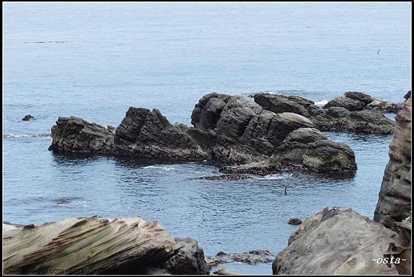 09IMG_3700.JPG