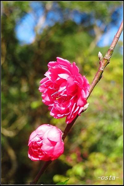 16IMG_4460.JPG