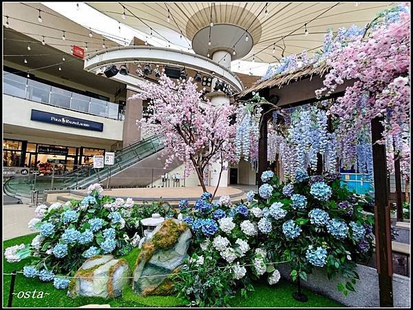 花舞春遊趣--MITSUI OUTLET PARK 林口