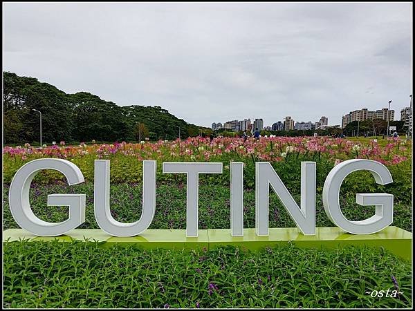 古亭河濱公園花海