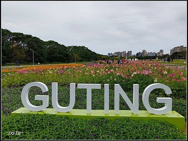 古亭河濱公園花海