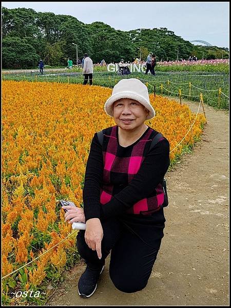 古亭河濱公園花海