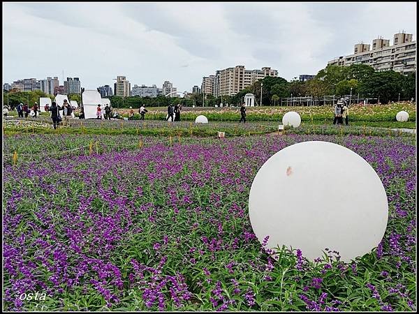 古亭河濱公園花海