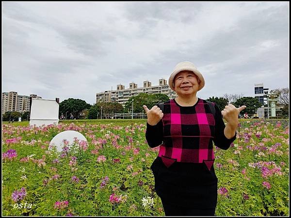 古亭河濱公園花海