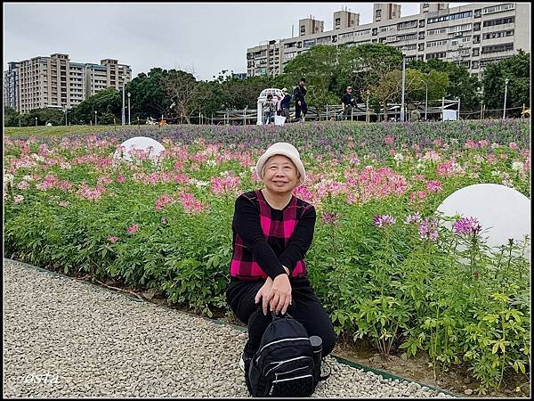 古亭河濱公園花海