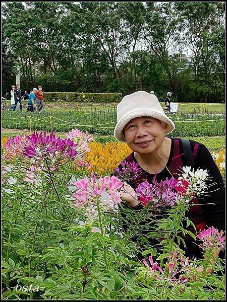 古亭河濱公園花海