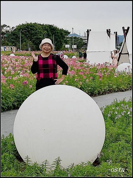 古亭河濱公園花海