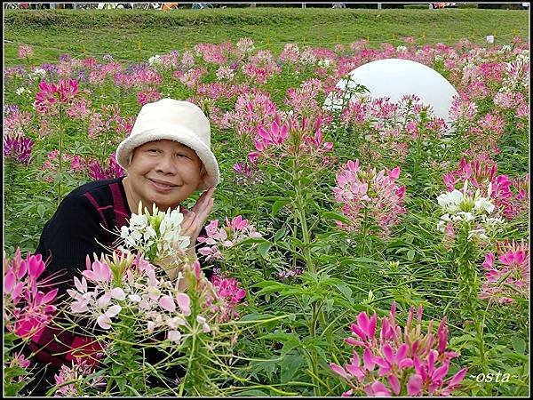 古亭河濱公園花海