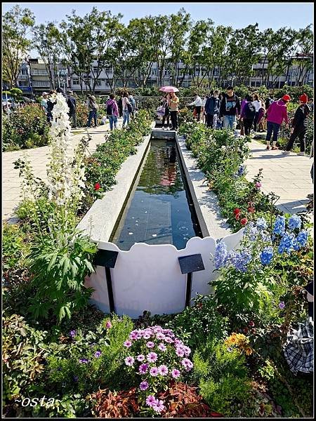 2025新生公園賞玫瑰