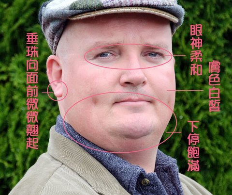 營養兼心性質.jpg