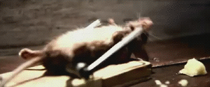 65412.gif