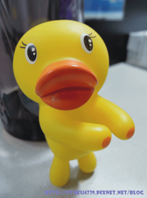 my super-duck(原始模樣)