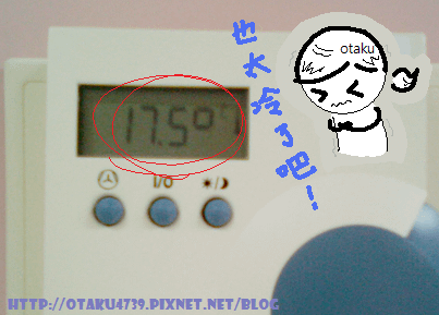 17.5℃