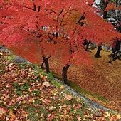 DSCN9954.JPG