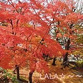 DSCN9944.JPG