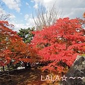 DSCN9931.JPG