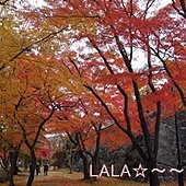 DSCN9830.JPG