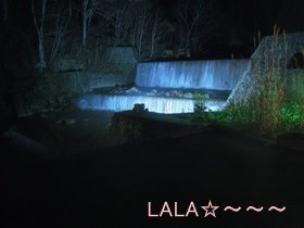 DSCN0233.JPG