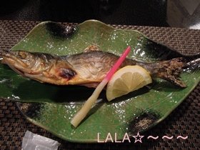 DSCN0217.JPG